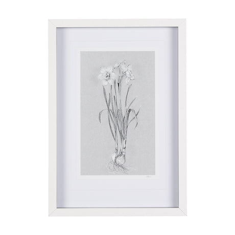 Botanical sketches II (Grey) by Mercana Studio Hand Embellished Framed Art Print Matted under Glass from Mercana - Luna Furniture