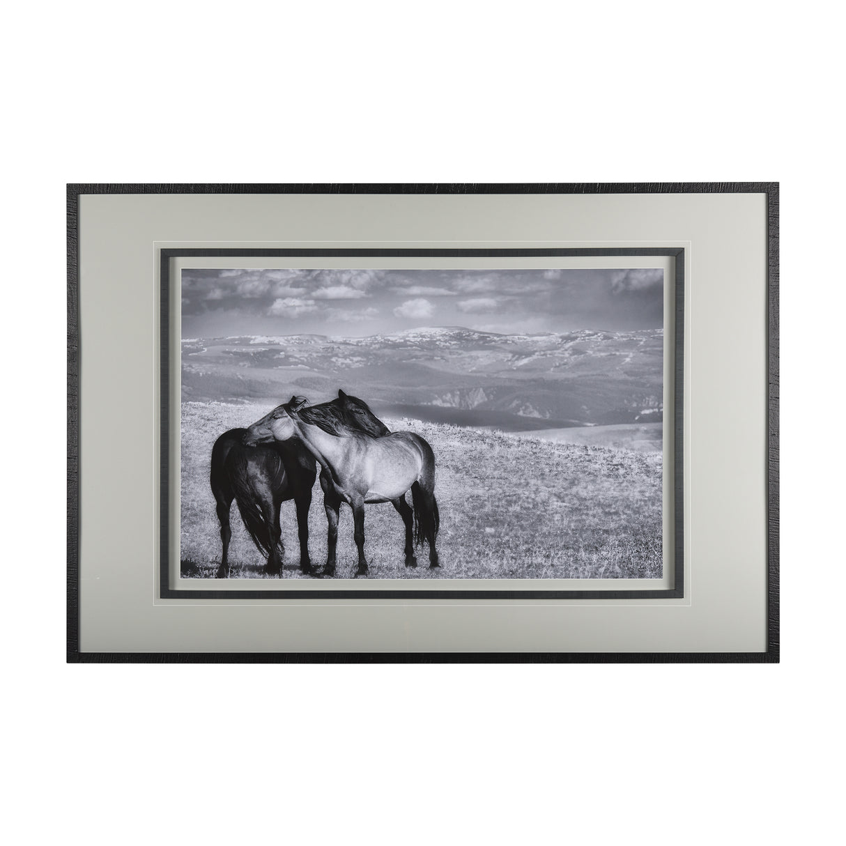 Babies on Board by Mercana Studio a Framed Photo Art Print Matted under Glass from Mercana - Luna Furniture