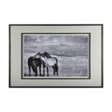 Babies on Board by Mercana Studio a Framed Photo Art Print Matted under Glass from Mercana - Luna Furniture