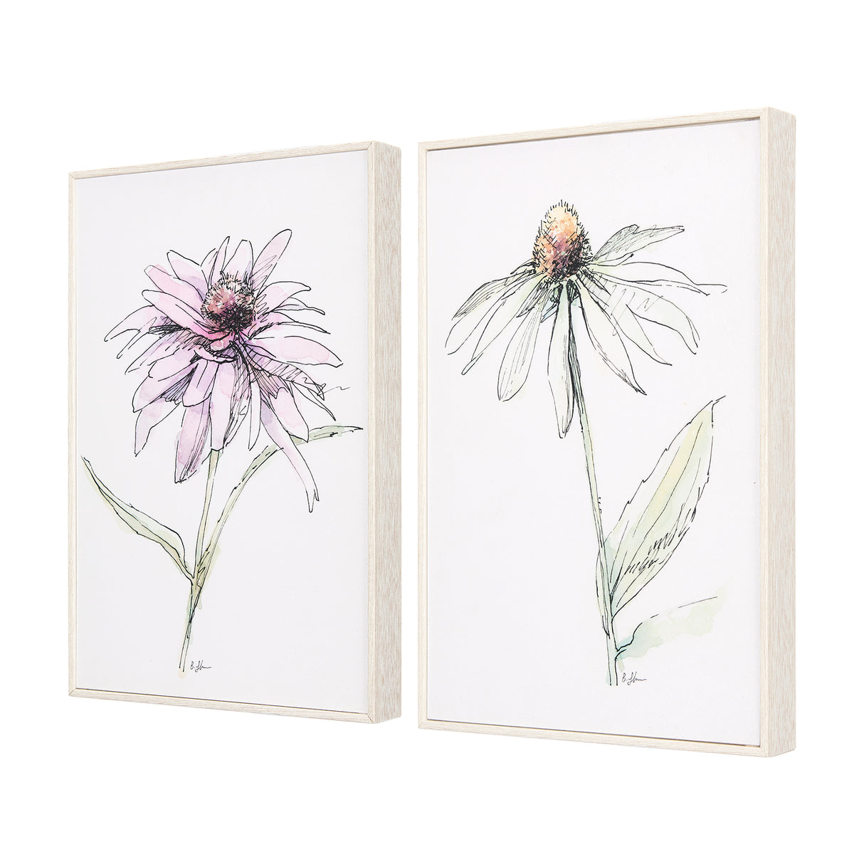 Echinacea I by Mercana Studio a Hand Embellished Textured Framed Art Print from Mercana - Luna Furniture