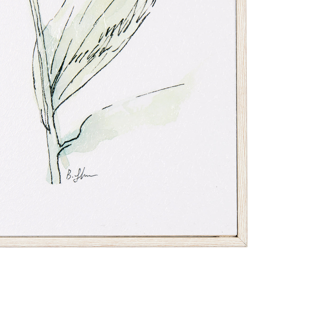 Echinacea I by Mercana Studio a Hand Embellished Textured Framed Art Print from Mercana - Luna Furniture