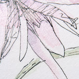 Echinacea I by Mercana Studio a Hand Embellished Textured Framed Art Print from Mercana - Luna Furniture