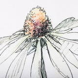 Echinacea I by Mercana Studio a Hand Embellished Textured Framed Art Print from Mercana - Luna Furniture