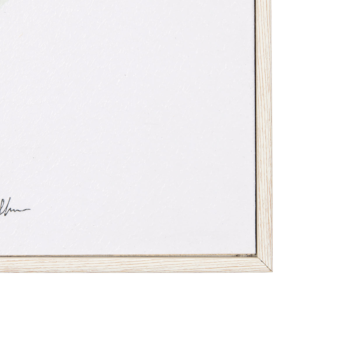 Dianthus I by Mercana Studio a Hand Embellished Textured Framed Art Print from Mercana - Luna Furniture