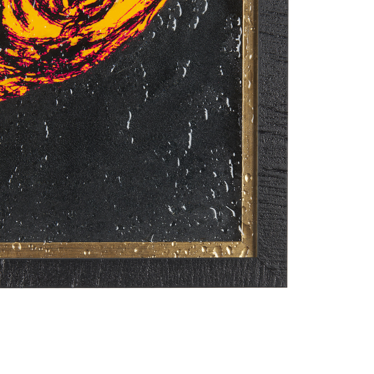 Largemouth Bass Orange by Mercana Studio a Hand Embellished Textured Framed Art Print from Mercana - Luna Furniture