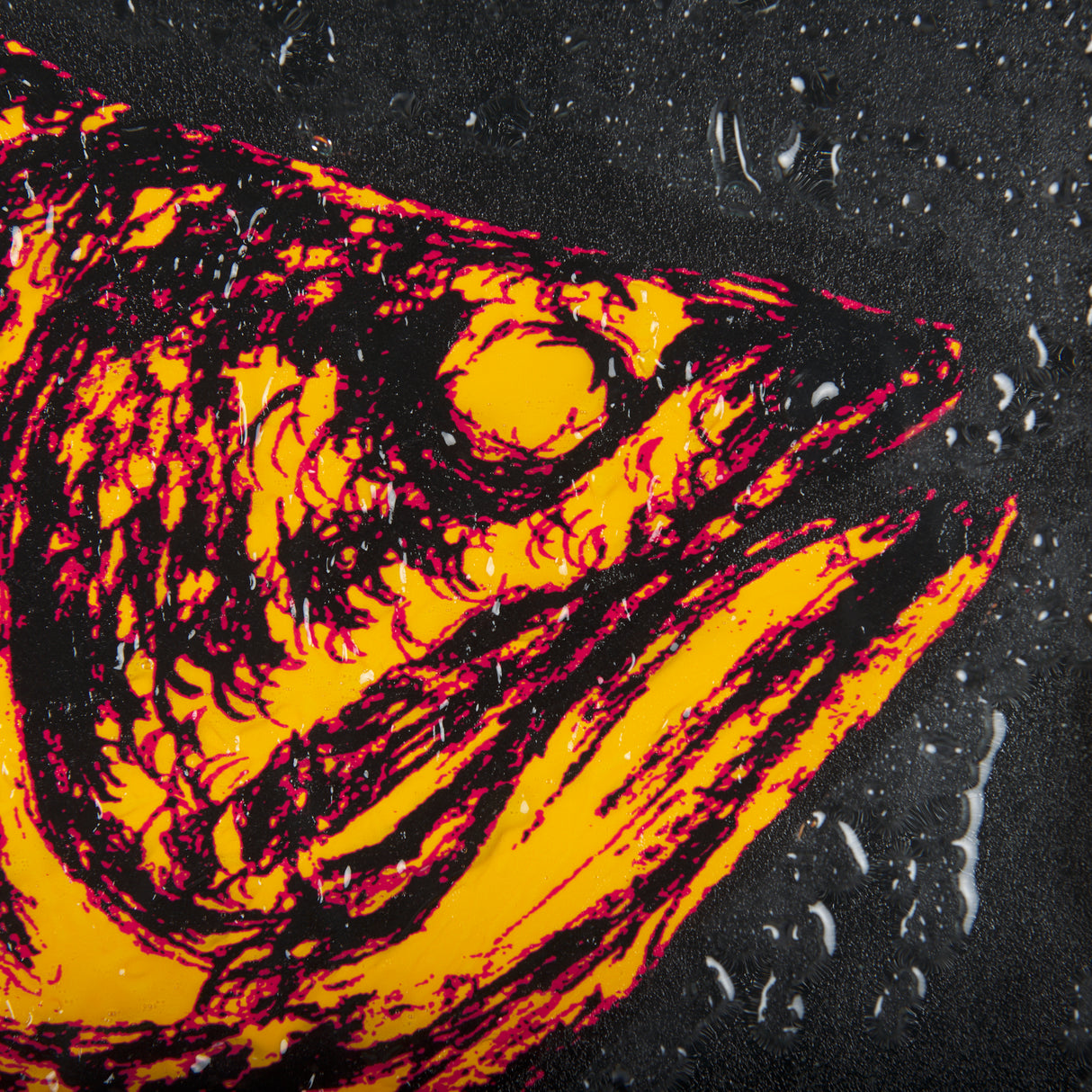 Largemouth Bass Orange by Mercana Studio a Hand Embellished Textured Framed Art Print from Mercana - Luna Furniture