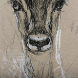 Sketch of Animal III (Antelope) Mercana Studio Hand Embellished Framed Art Print Matted under Glass from Mercana - Luna Furniture