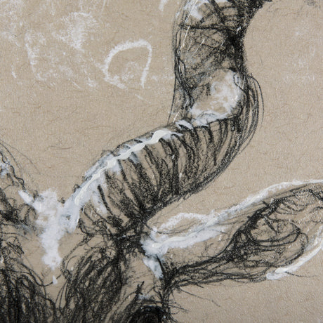 Sketch of Animal III (Antelope) Mercana Studio Hand Embellished Framed Art Print Matted under Glass from Mercana - Luna Furniture