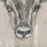 Sketch of Animal III (Antelope) Mercana Studio Hand Embellished Framed Art Print Matted under Glass from Mercana - Luna Furniture