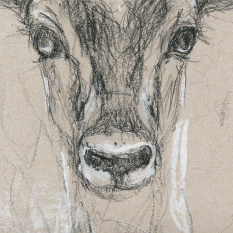 Sketch of Animal III (Antelope) Mercana Studio Hand Embellished Framed Art Print Matted under Glass from Mercana - Luna Furniture