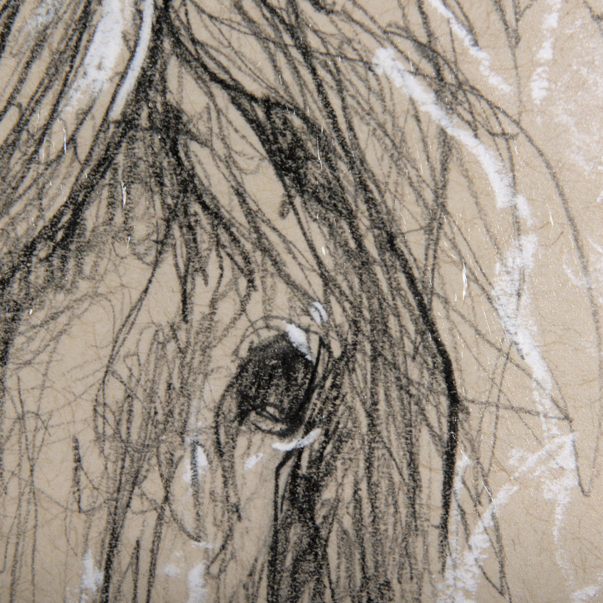 Sketch of Animal VI (Pony) by Mercana Studio Hand Embellished Framed Art Print Matted under Glass from Mercana - Luna Furniture