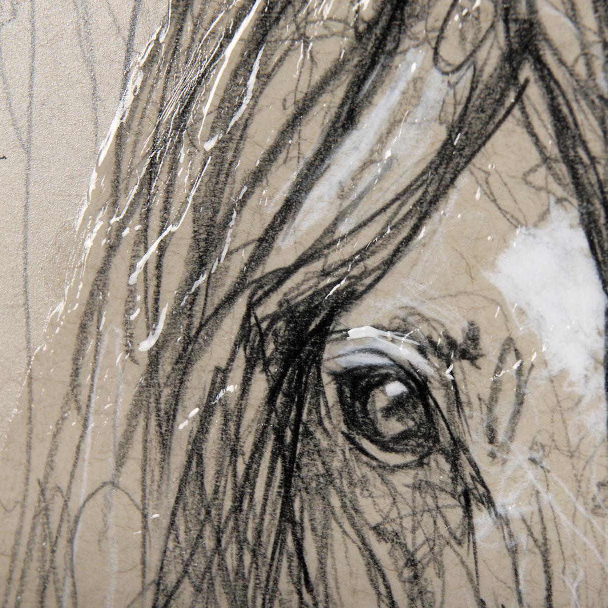 Sketch of Animal VII (Horse) by Mercana Studio a Hand Embellished Textured Framed Art Print from Mercana - Luna Furniture