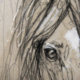 Sketch of Animal VII (Horse) by Mercana Studio a Hand Embellished Textured Framed Art Print from Mercana - Luna Furniture