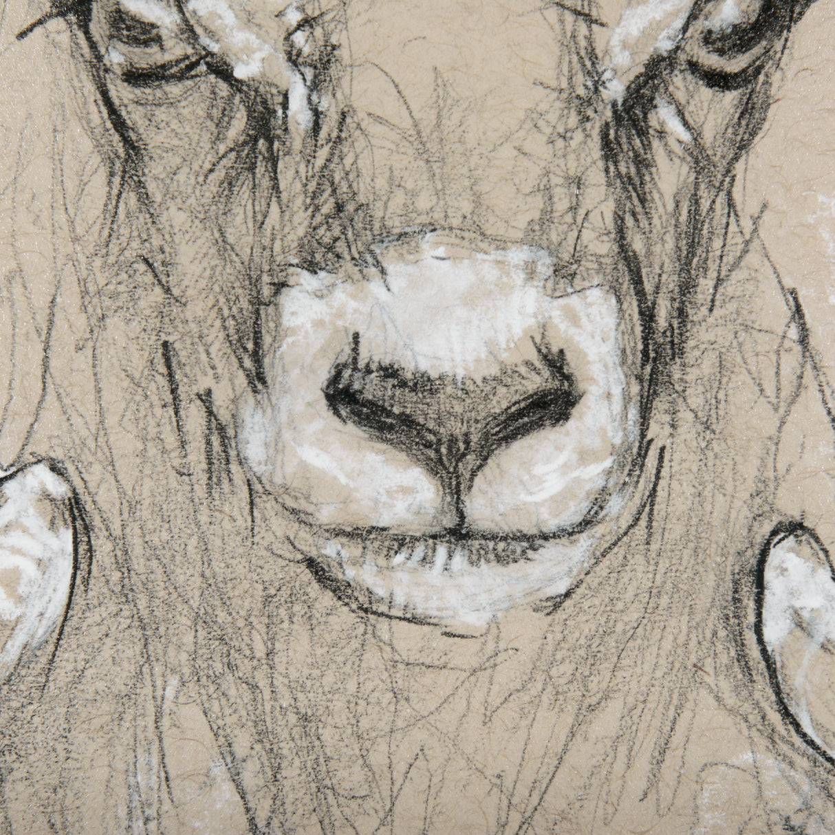 Sketch of animal I (Wild sheep) Mercana Studio Hand Embellished Framed Art Print Matted under Glass from Mercana - Luna Furniture