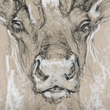 Sketch of animal II (Caribou) by Mercana Studio Hand Embellished Framed Art Print Matted under Glass from Mercana - Luna Furniture