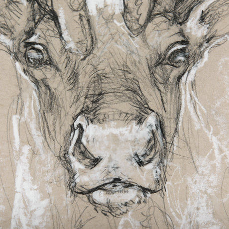 Sketch of animal II (Caribou) by Mercana Studio Hand Embellished Framed Art Print Matted under Glass from Mercana - Luna Furniture