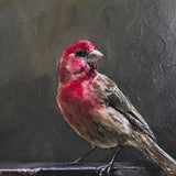 Graceful Poise I (House Finch) by Mercana Studio a Hand Embellished Framed Art Print Matted under Gl from Mercana - Luna Furniture