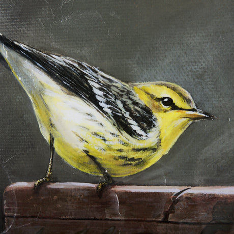 Graceful Poise IV (Blackburnian Warbler) from Mercana - Luna Furniture