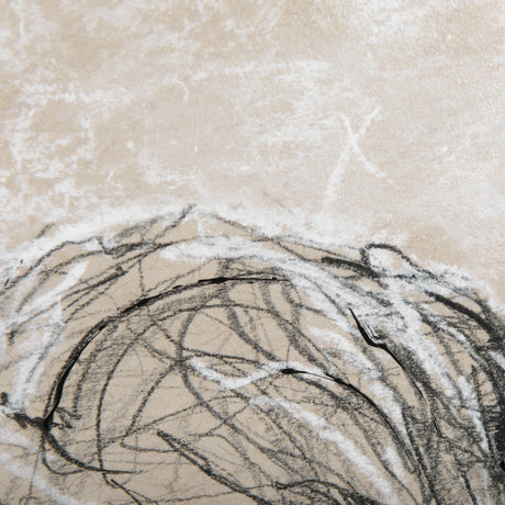 Sketch of Animal VIII by Mercana Studio Hand Embellished Framed Art Print Matted under Glass from Mercana - Luna Furniture
