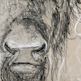 Sketch of Animal IX (Bison) by Mercana Studio Hand Embellished Framed Art Print Matted under Glass from Mercana - Luna Furniture