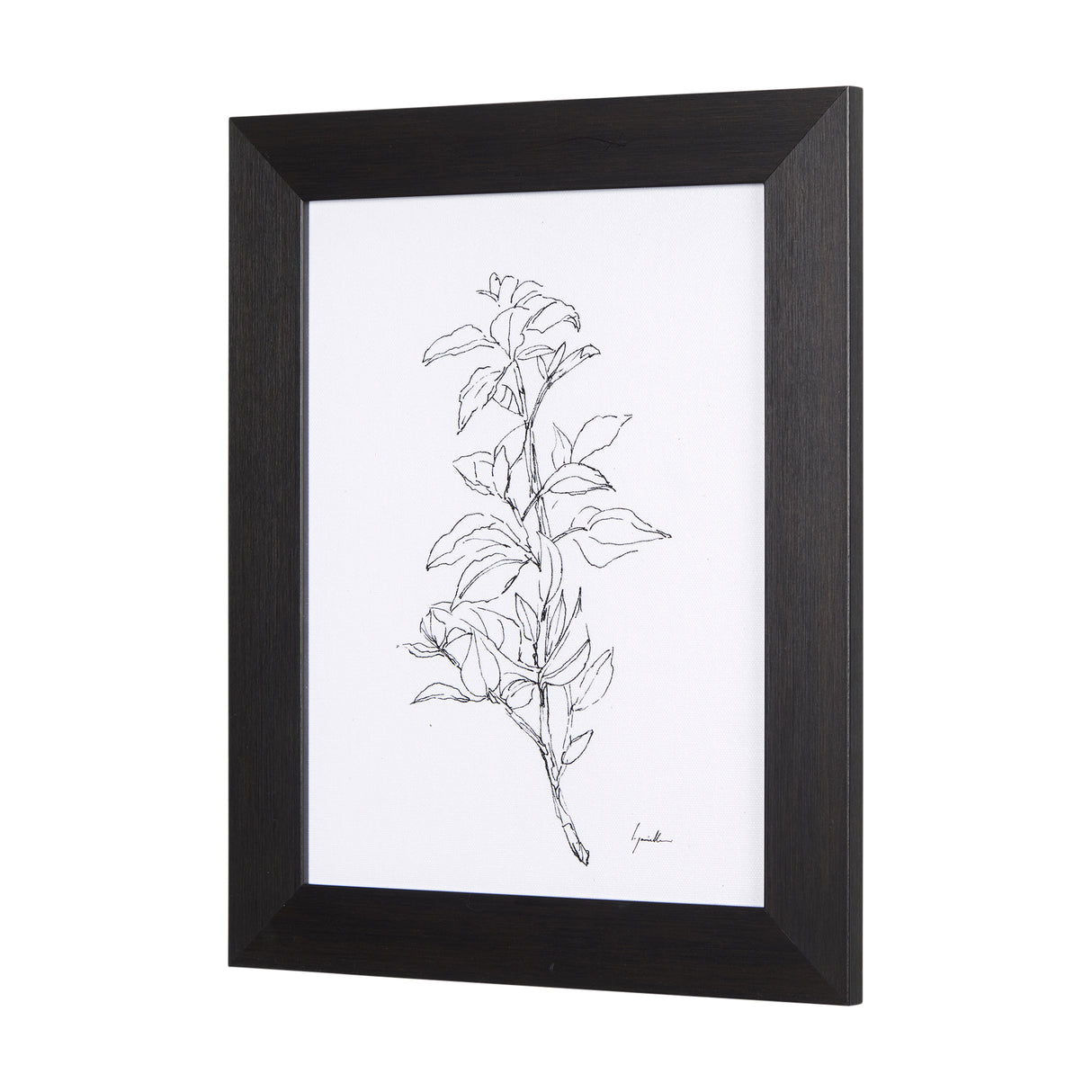 Herb Sketch I ,II by Mercana Studio a Hand Embellished Textured Framed Art Print from Mercana - Luna Furniture