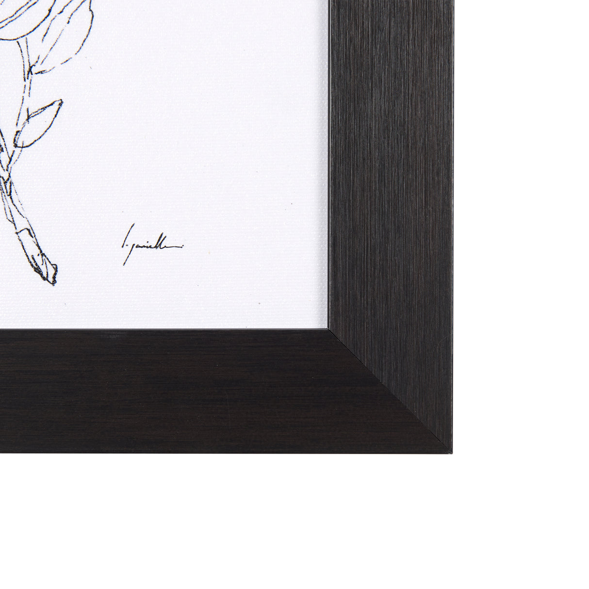 Herb Sketch I ,II by Mercana Studio a Hand Embellished Textured Framed Art Print from Mercana - Luna Furniture