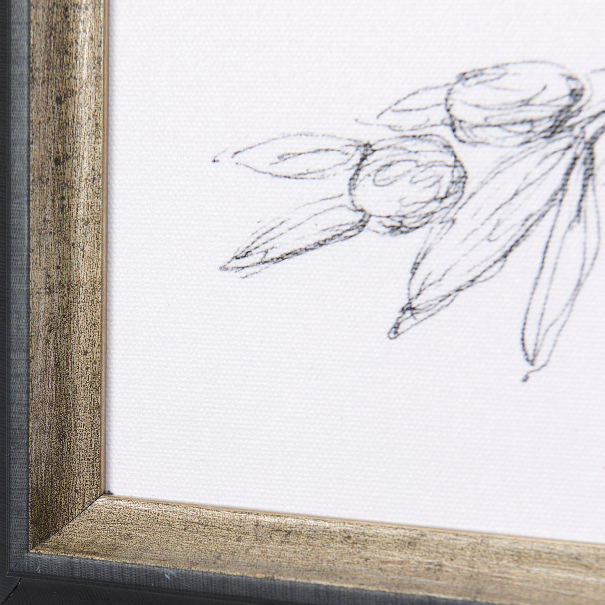 Herb Sketch I ,II by Mercana Studio a Hand Embellished Textured Framed Art Print from Mercana - Luna Furniture