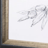 Herb Sketch I ,II by Mercana Studio a Hand Embellished Textured Framed Art Print from Mercana - Luna Furniture