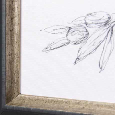 Herb Sketch I ,II by Mercana Studio a Hand Embellished Textured Framed Art Print from Mercana - Luna Furniture