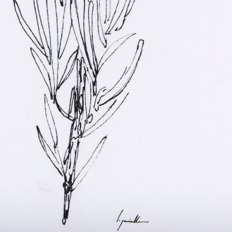 Herb Sketch I ,II by Mercana Studio a Hand Embellished Textured Framed Art Print from Mercana - Luna Furniture