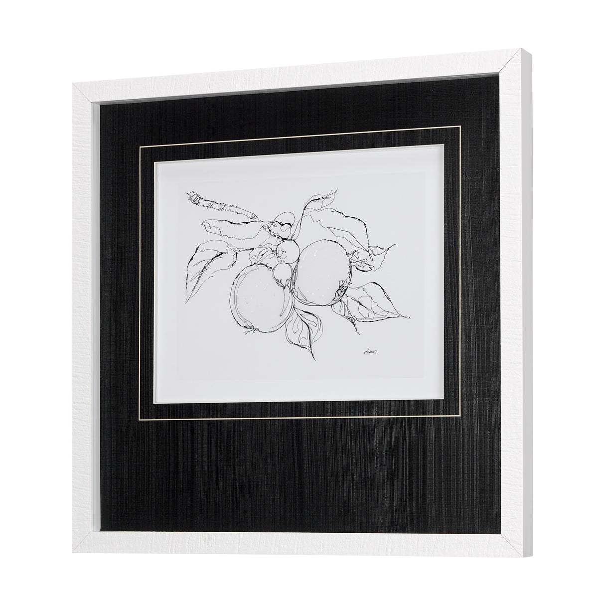 Fruit Sketch Apple by Mercana Studio a Hand Embellished Textured Framed Art Print Matted under Glass from Mercana - Luna Furniture