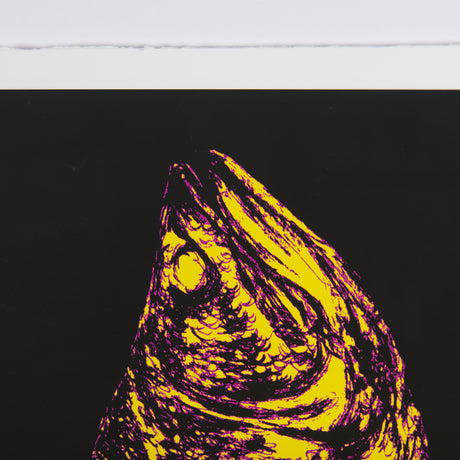 Largemouth Bass Print 4 in 1 by Simeng a Framed Art Print Matted under Glass from Mercana - Luna Furniture