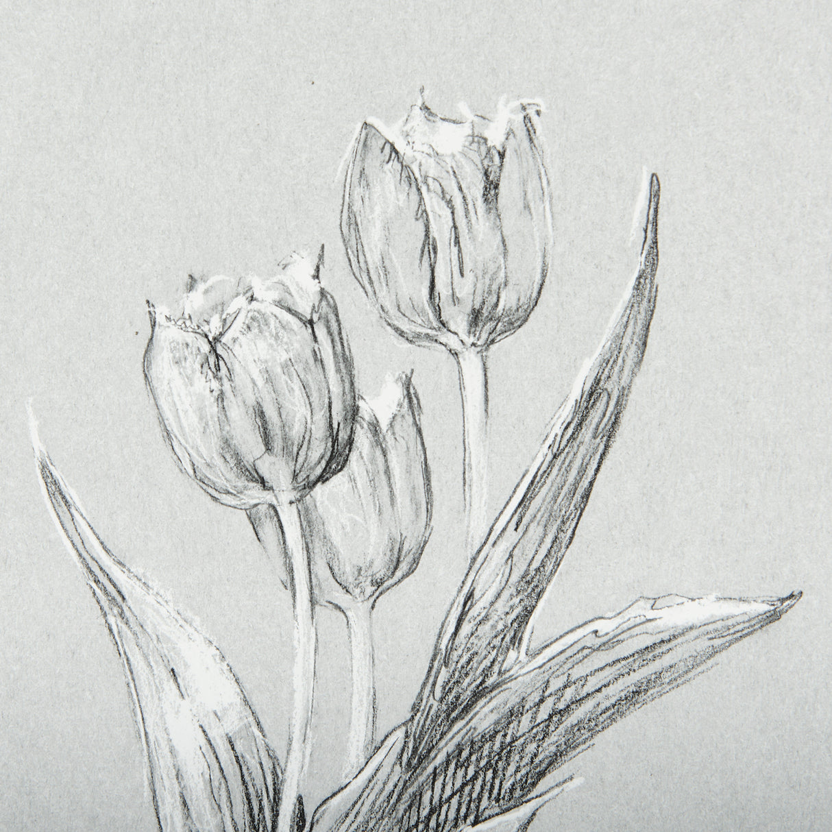 Botanical sketches I (Grey) by Mercana Studio Hand Embellished Framed Art Print Matted under Glass from Mercana - Luna Furniture
