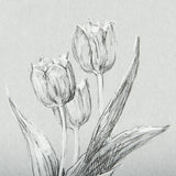 Botanical sketches I (Grey) by Mercana Studio Hand Embellished Framed Art Print Matted under Glass from Mercana - Luna Furniture