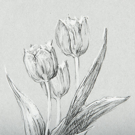 Botanical sketches I (Grey) by Mercana Studio Hand Embellished Framed Art Print Matted under Glass from Mercana - Luna Furniture