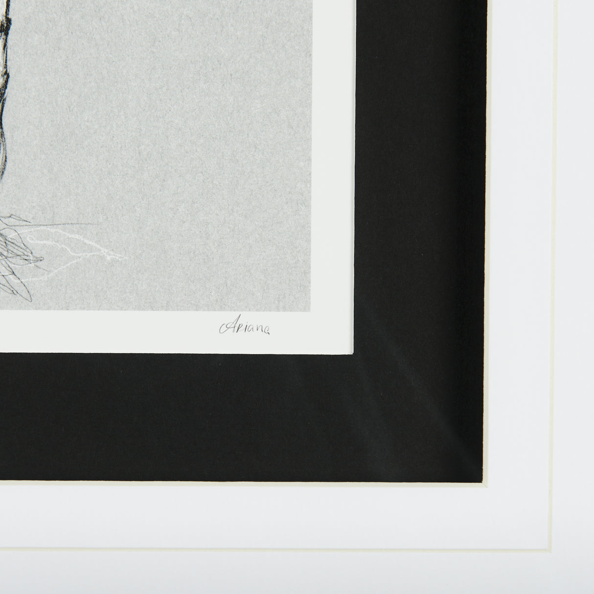 Botanical sketches II (Grey) by Mercana Studio Hand Embellished Framed Art Print Matted under Glass from Mercana - Luna Furniture