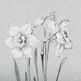 Botanical sketches II (Grey) by Mercana Studio Hand Embellished Framed Art Print Matted under Glass from Mercana - Luna Furniture