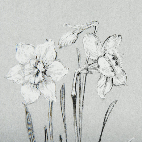 Botanical sketches II (Grey) by Mercana Studio Hand Embellished Framed Art Print Matted under Glass from Mercana - Luna Furniture