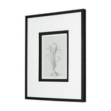 Botanical sketches III (Grey) by Mercana Studio Hand Embellished Framed Art Print Matted under Glass from Mercana - Luna Furniture