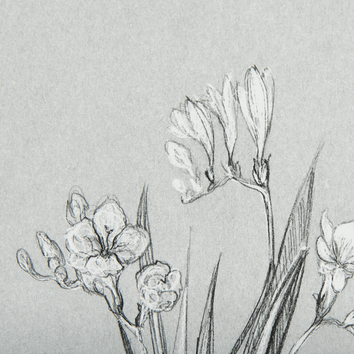 Botanical sketches III (Grey) by Mercana Studio Hand Embellished Framed Art Print Matted under Glass from Mercana - Luna Furniture