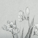 Botanical sketches III (Grey) by Mercana Studio Hand Embellished Framed Art Print Matted under Glass from Mercana - Luna Furniture