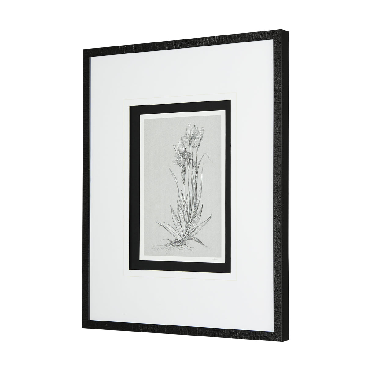 Botanical sketches IV (Grey) by Mercana Studio Hand Embellished Framed Art Print Matted under Glass from Mercana - Luna Furniture