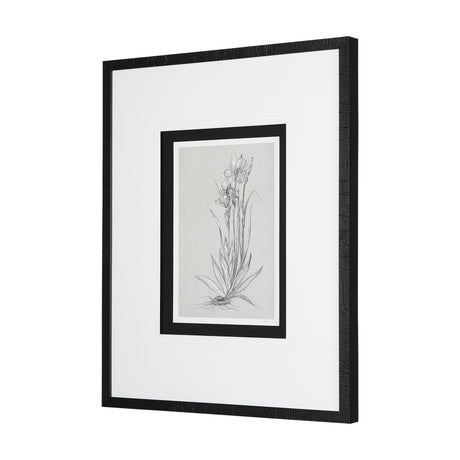 Botanical sketches IV (Grey) by Mercana Studio Hand Embellished Framed Art Print Matted under Glass from Mercana - Luna Furniture