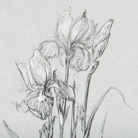 Botanical sketches IV (Grey) by Mercana Studio Hand Embellished Framed Art Print Matted under Glass from Mercana - Luna Furniture