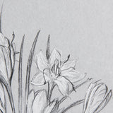Botanical sketches V (Grey) by Mercana Studio Hand Embellished Framed Art Print Matted under Glass from Mercana - Luna Furniture
