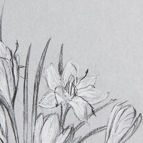 Botanical sketches V (Grey) by Mercana Studio Hand Embellished Framed Art Print Matted under Glass from Mercana - Luna Furniture