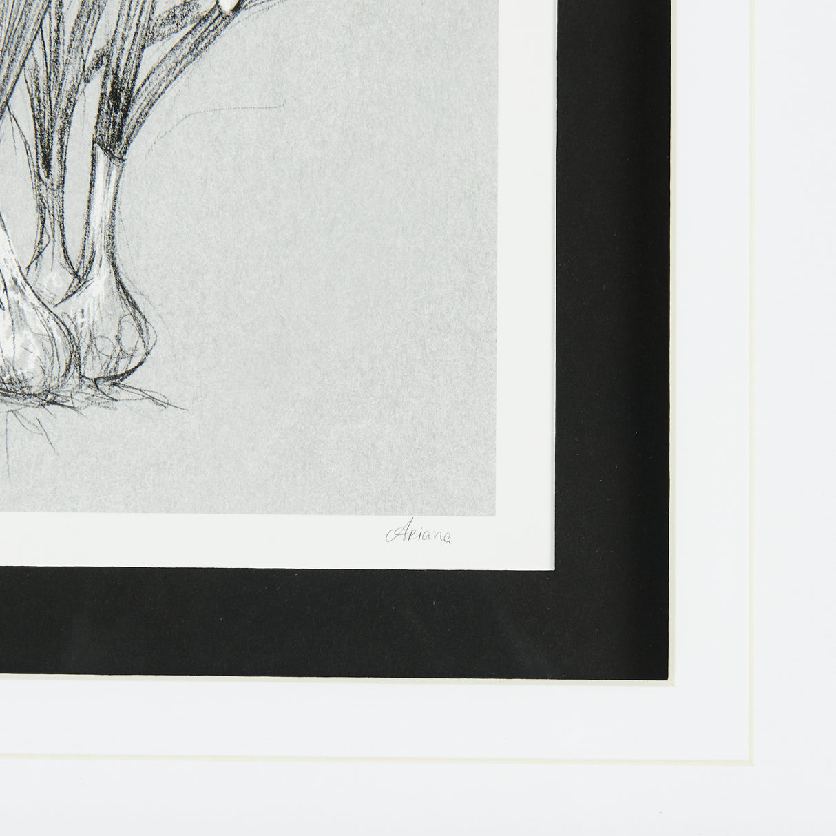 Botanical sketches VI (Grey) by Mercana Studio Hand Embellished Framed Art Print Matted under Glass from Mercana - Luna Furniture