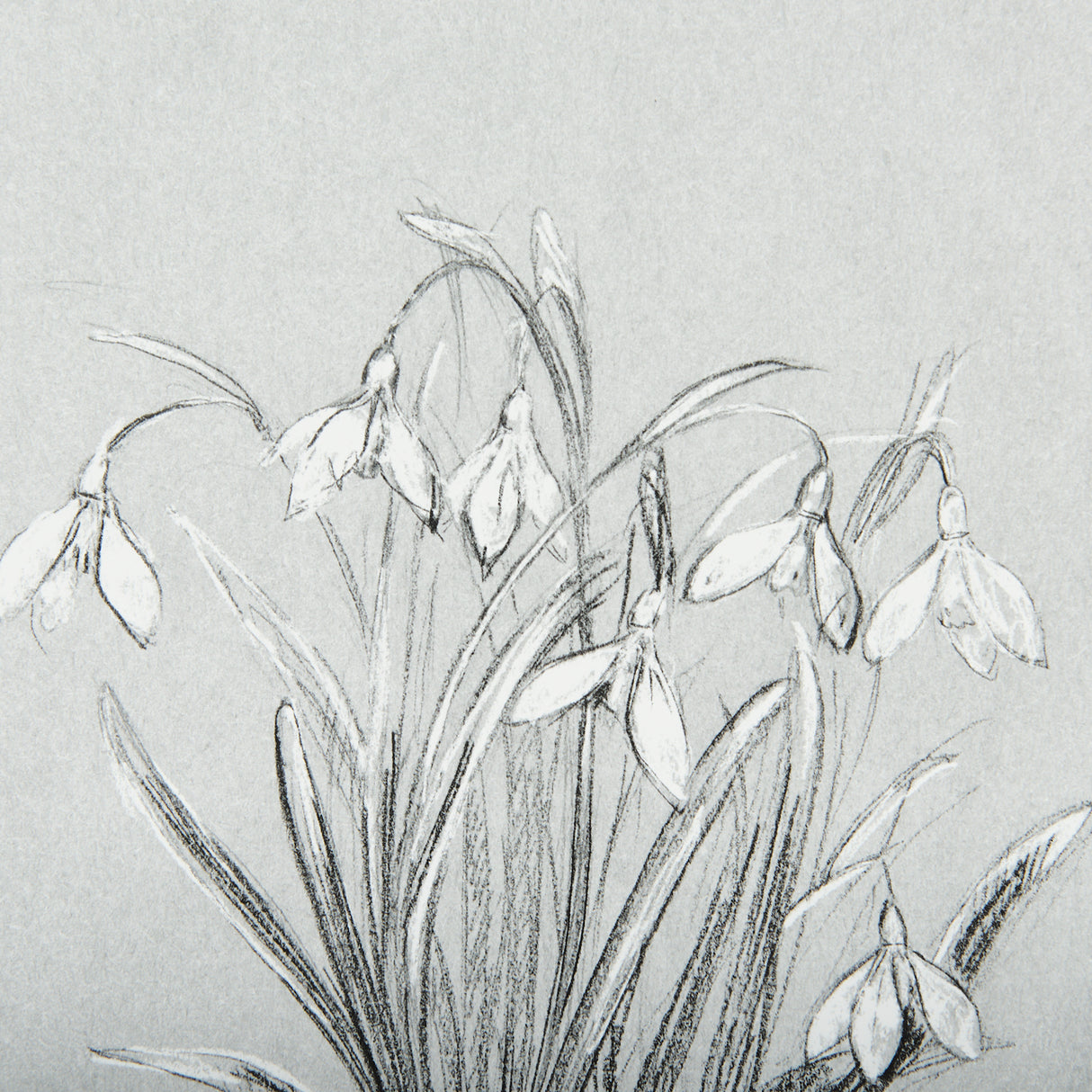 Botanical sketches VI (Grey) by Mercana Studio Hand Embellished Framed Art Print Matted under Glass from Mercana - Luna Furniture