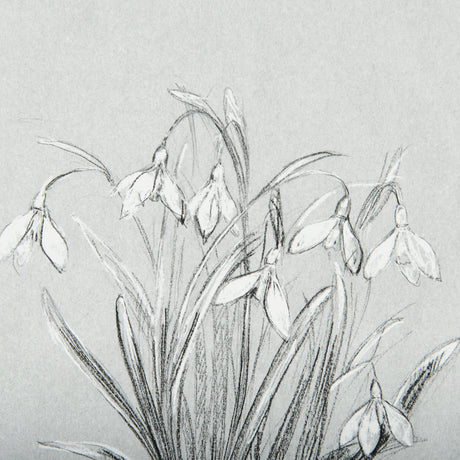 Botanical sketches VI (Grey) by Mercana Studio Hand Embellished Framed Art Print Matted under Glass from Mercana - Luna Furniture
