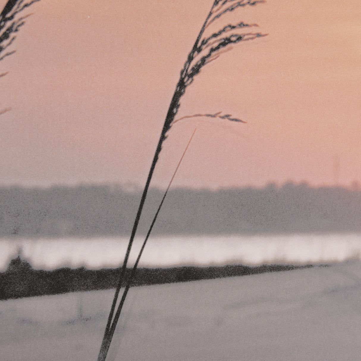 Seashore Sunset by Mercana Studio a Framed Photo Art Print Matted under Glass from Mercana - Luna Furniture